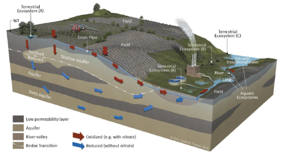 Seminario web - Ground-water Dependent Ecosystem e Normativa Europea - Acque sotterranee ed Energia